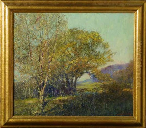 Poplar And Willows - view 1