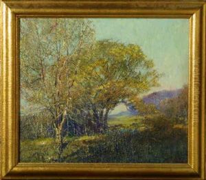 Poplar And Willows