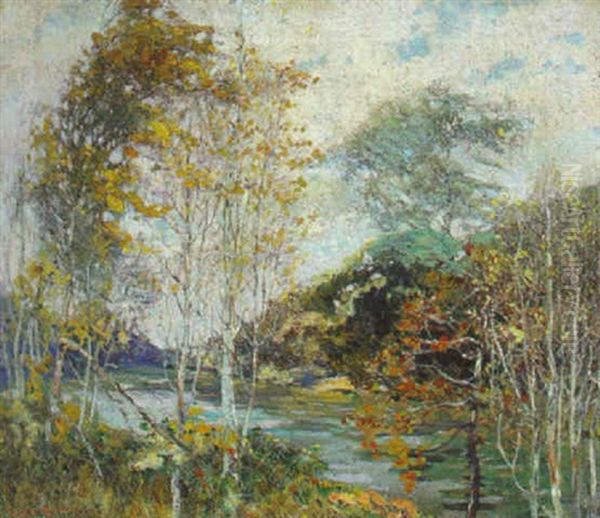 Birches - view 1
