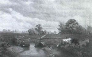 Cows By A Loch Cows By A Loch