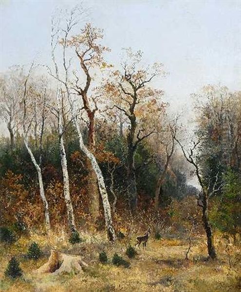 Rehbock Auf Einer Waldlichtung - view 1
