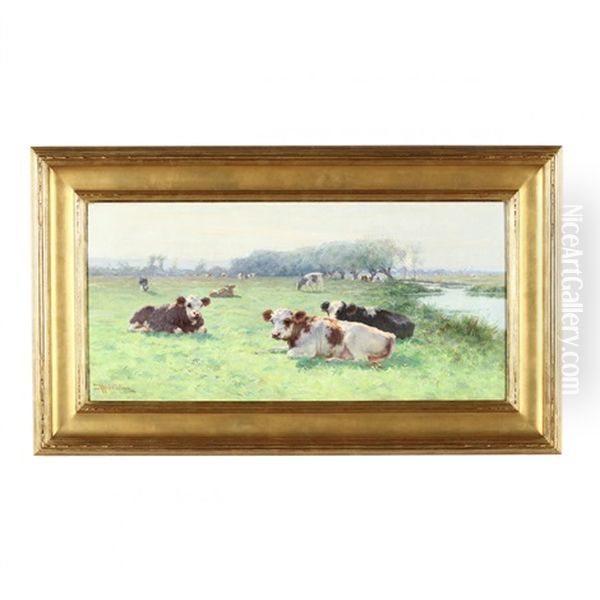 Cows In Sunlit Meadow - view 1