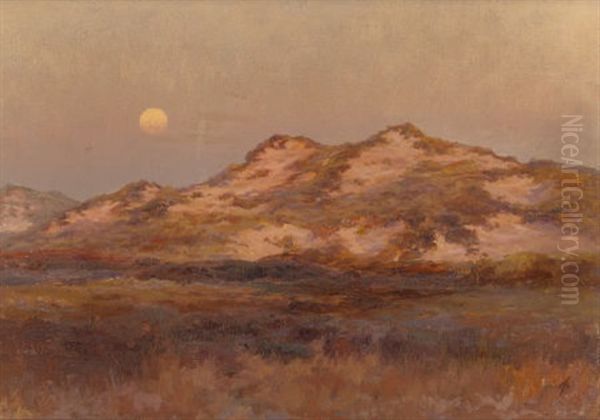 Dunes At Moonrise - view 1