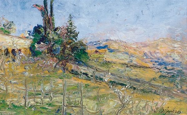 Paesaggio Estivo - view 1