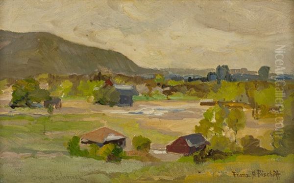Spring Shower - view 1