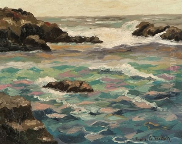 Rocky Coastal With Waves - view 1