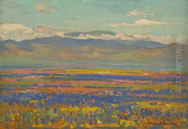 Field Of Poppies And Lupine Near The Foothills - view 1
