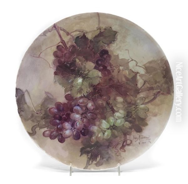 Purple And Green Grapes On The Vine - view 1