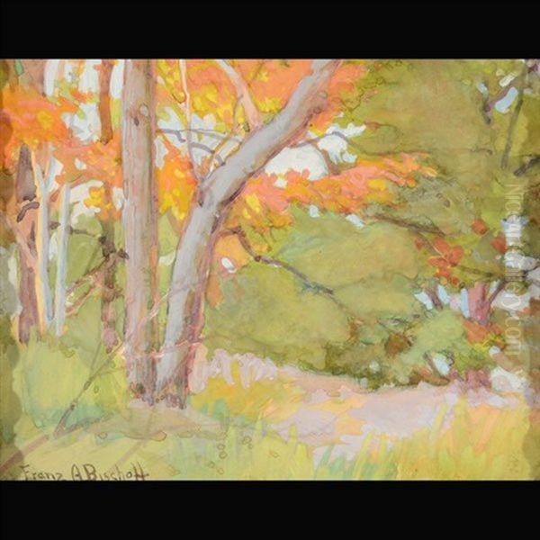 Autumn Woods - view 1