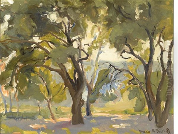 Grove Of Trees - view 1