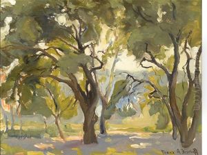 Grove Of Trees Grove Of Trees