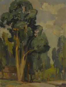 Cabin Amongst The Eucalyptus