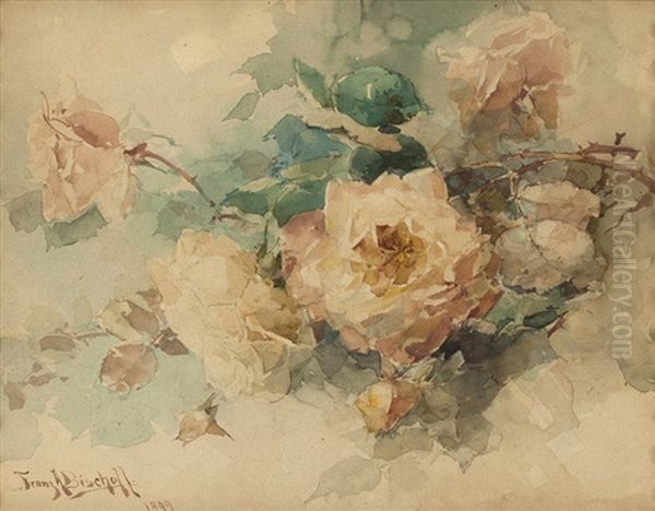 Rose Still Life - view 1