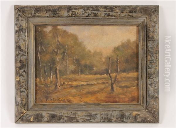 Country Lane - view 1