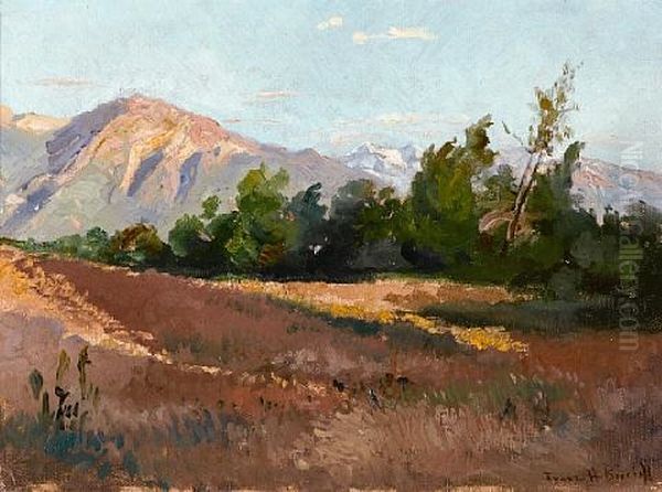 Along The San Gabriels - view 1