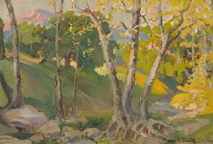 Arroyo Landscape Arroyo Landscape