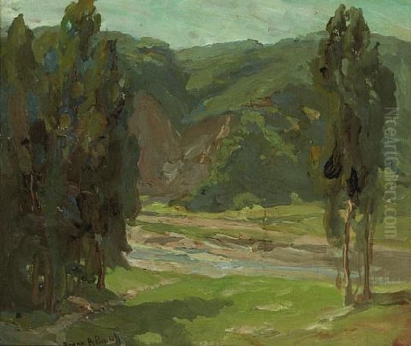 Stream Through A Green Valley - view 1