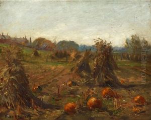 Pumpkin Patch
