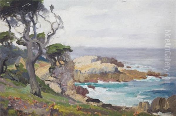 Rocky Cove - view 1