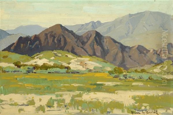 Flower Field In A Foothill Landscape - view 1