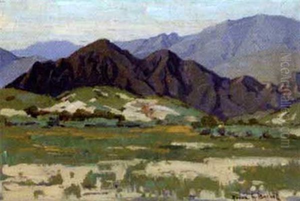 Flower Field In Foothill Landscape - view 1