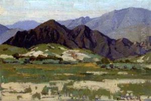 Flower Field In Foothill Landscape
