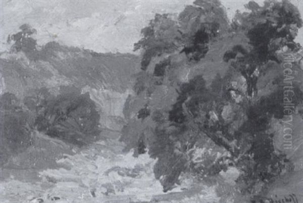 Wooded California Landscape - view 1