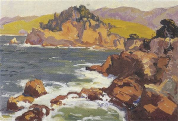 Cove, Southern California - view 1
