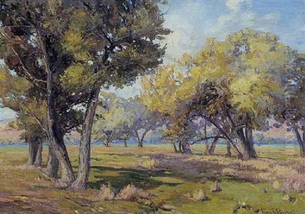 Carmel Cottonwoods - view 1