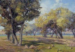 Carmel Cottonwoods