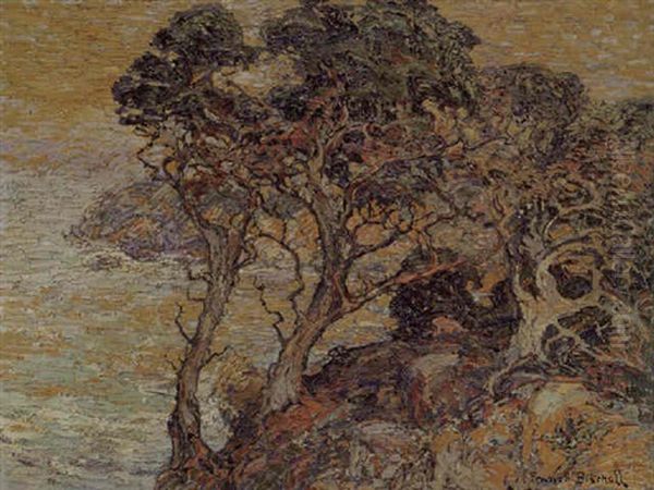 Point Lobos, Monterey Coast - view 1