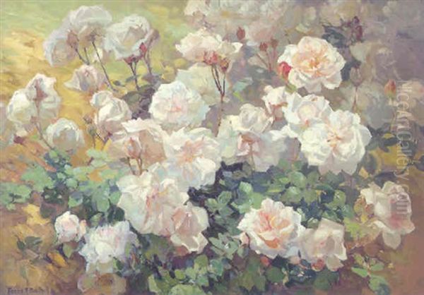 Roses - view 1