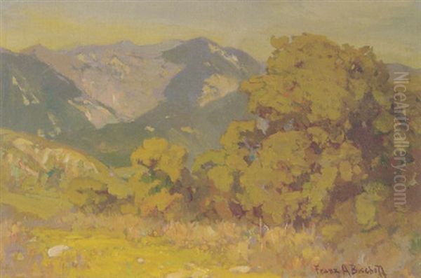 Canyon In Spring - view 1