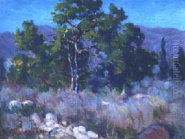 Mountain Landscape - view 1