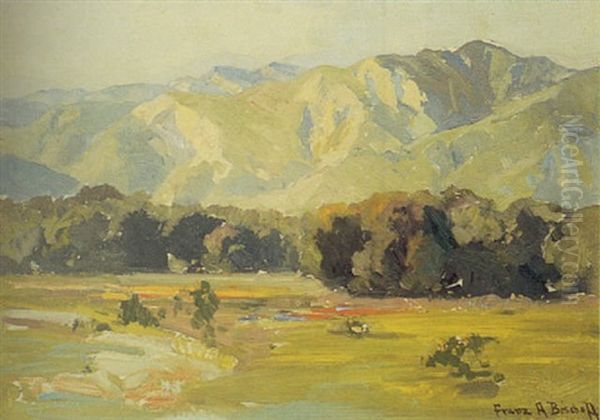 A California Valley In Bloom - view 1