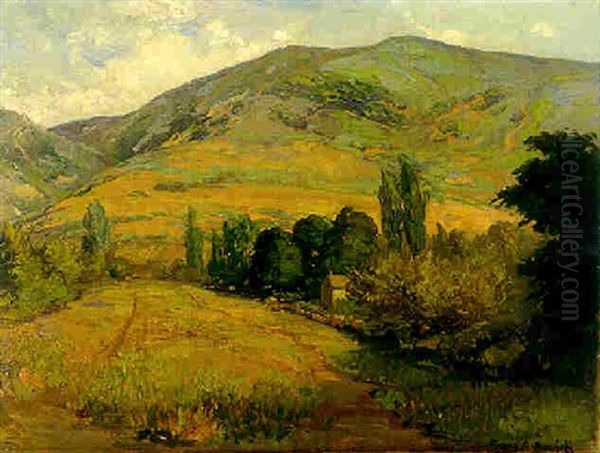 California Hills - view 1