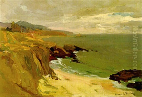 The California Coast - view 1