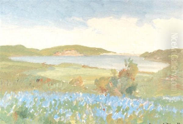 Landscape Near Bay - view 1