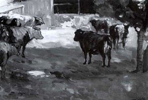 Bulls Bulls