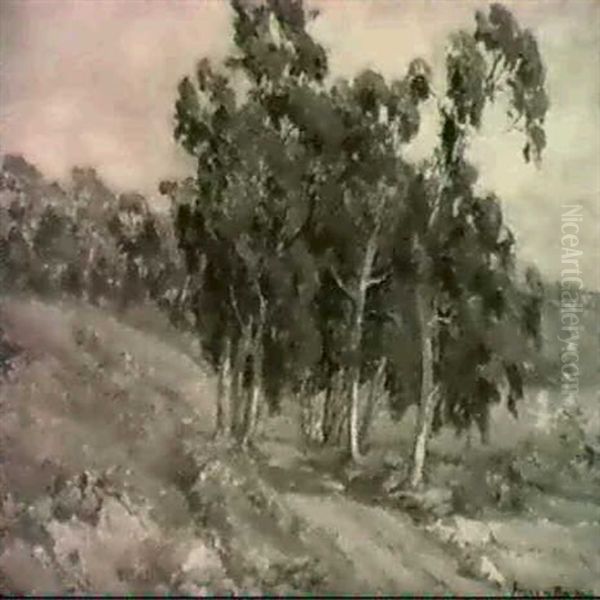 Landscape - view 1