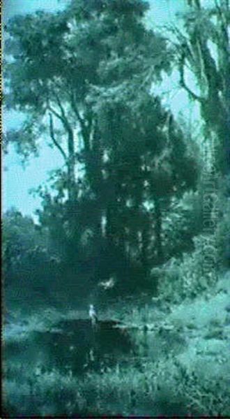 Herons Beside A Woodland Pool - view 1