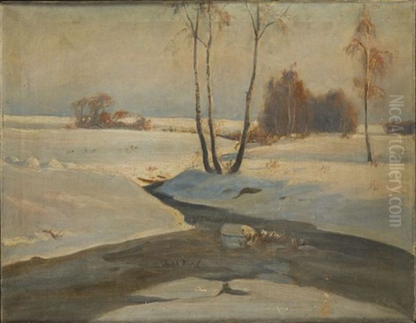Landscape - view 1