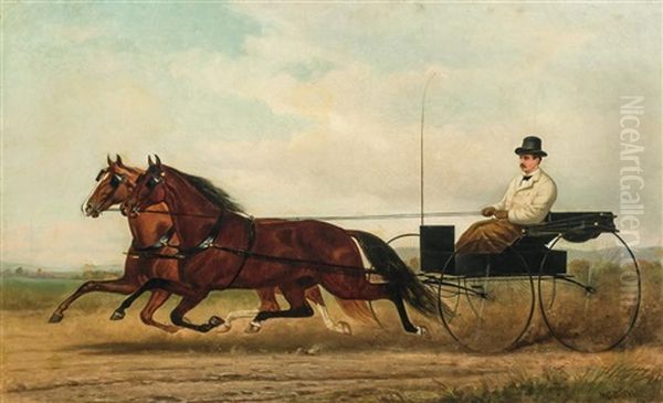 Horses And Buggy - view 1