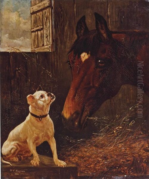 Stable Friends - view 1