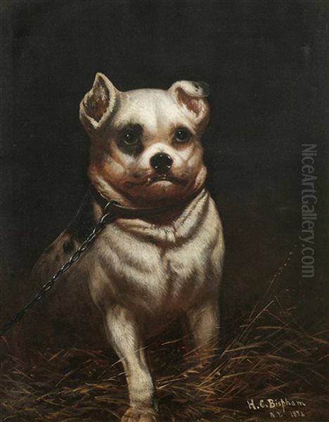 Seated Bulldog - view 1