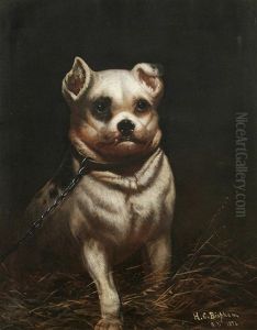 Seated Bulldog by Henry Collins Bispham