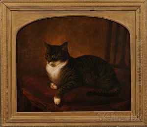 Portrait Of A Gray Tiger Cat Seated On A Chair by Henry Collins Bispham