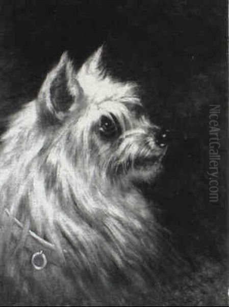 Head Of A Terrier - view 1