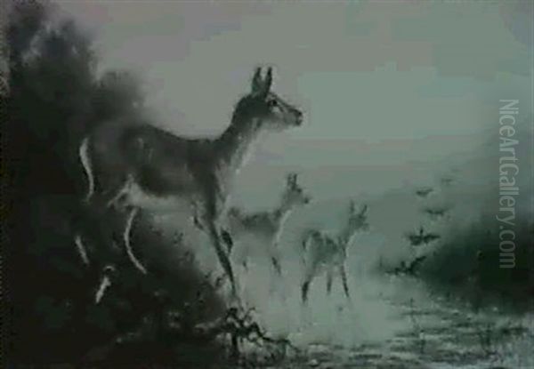 A Family Of Deer - view 1
