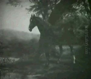 A Stallion In A Landscape